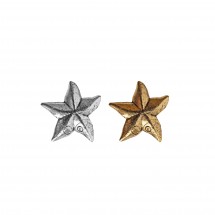 Tiny Star #621