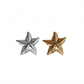 Tiny Star #621