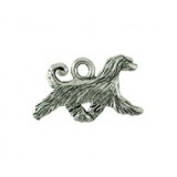 Afghan Hound #3831 Afghan Hound #3831