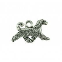 Afghan Hound #3831