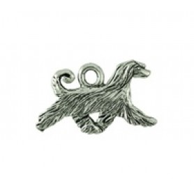 Afghan Hound #3831