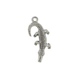 Alligator #341