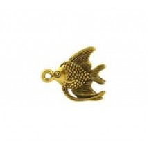 Angel Fish #7