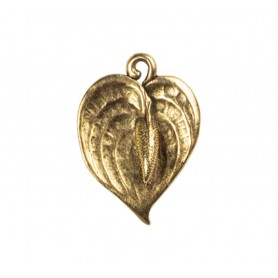 Anthurium Flower #6573 Anthurium Flower #6573