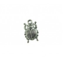 Beetle #2894