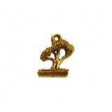 Bonsai Tree #1903 Bonsai Tree #1903