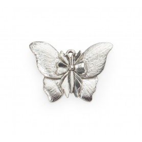 Butterfly #6586