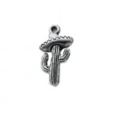 Cactus with Sombrero #1136NM Cactus with Sombrero #1136NM