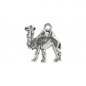 Camel #4781 Camel #4781