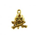 Campfire #2873 Campfire #2873