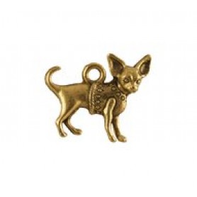 Chihuahua #4374 Chihuahua #4374