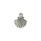 Clam #339