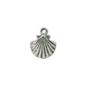 Clam #339