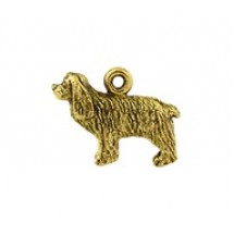Cocker Spaniel #89