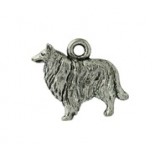 Collie #4679 Collie #4679