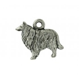 Collie #4679 Collie #4679