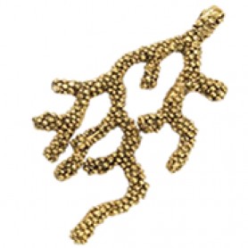 Coral Branch #6517 Coral Branch #6517