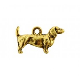 Dachshund #591 Dachshund #591