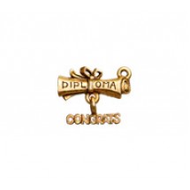 Diploma with Congrats - Self Linker #4006SL