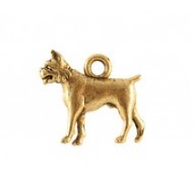 Boxer #4834