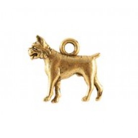 Boxer #4834 Boxer #4834