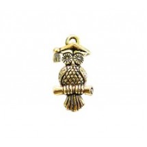 Educated Owl #525