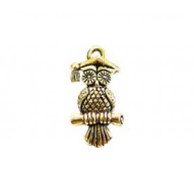 Educated Owl #525