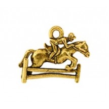 Equestrian / Horseback Rider #909NM