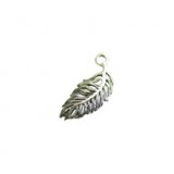 Feather #3823
