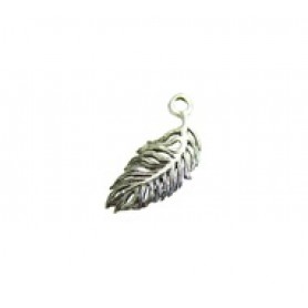 Feather #3823