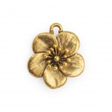 Flower #6587