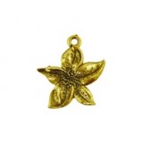 Flower #6116 Flower #6116