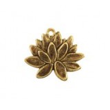 Flower #6292 Flower #6292