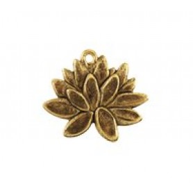 Flower #6292 Flower #6292