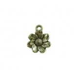 Flower #6362 Flower #6362