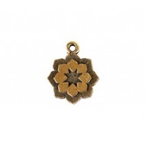 Flower #6465