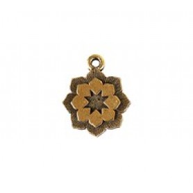 Flower #6465 Flower #6465