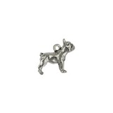 French Bulldog #6503
