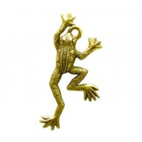 Frog #3647 Frog #3647