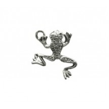 Frog #724