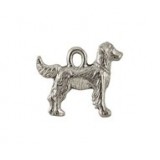 Golden Retriever #3171