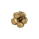 Hibiscus #4169