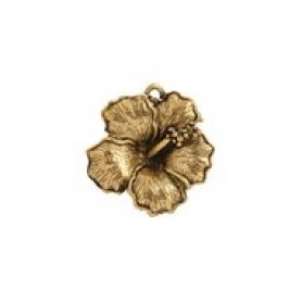 Hibiscus #4169