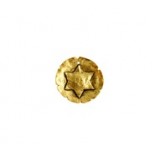 Disc with Relief Star of David (Large) #4967