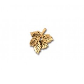 Leaf Cluster #4652