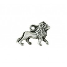Lion #19