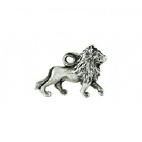 Lion #19