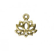 Lotus Flower #6499