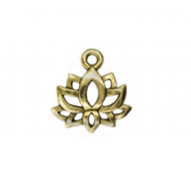 Lotus Flower #6499