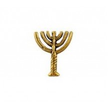 Menorah Pendant #6119